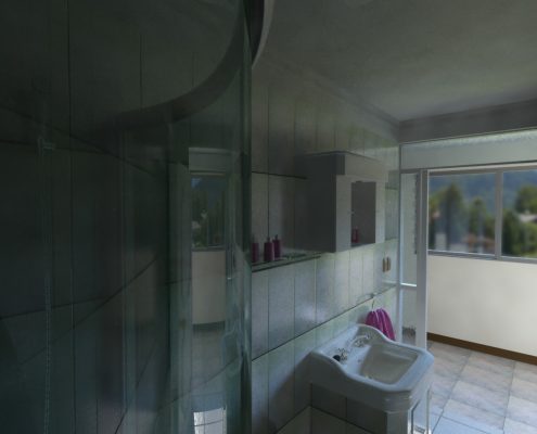 Render baño 2014